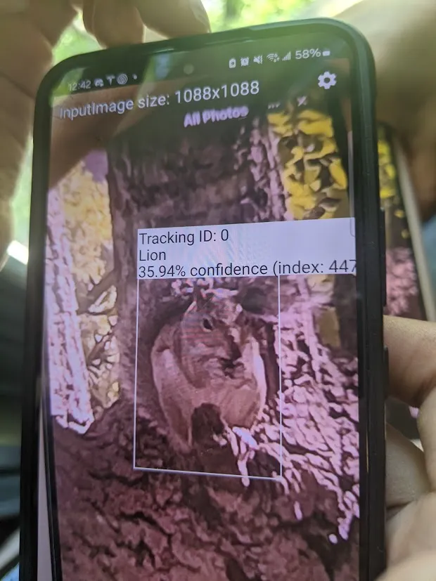 Early versions of Optica weren't always the most accurate. This version thought the squirrel outside was a Lion (with 36% confidence).